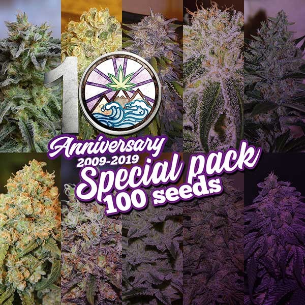 10th Anniversary Pack - 100 graines - Graines de Cannabis - COLLECTION GOURMET